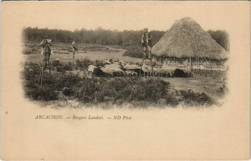 Carte postale ancienne Arcachon-Bergers Landais à Arcachon