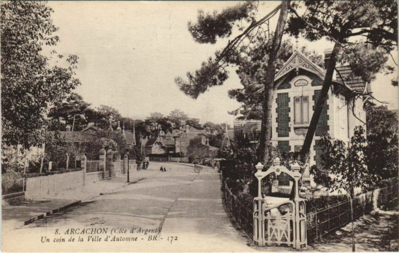 Carte postale ancienne Arcachon-un coin de la Ville d'Automne à Arcachon
