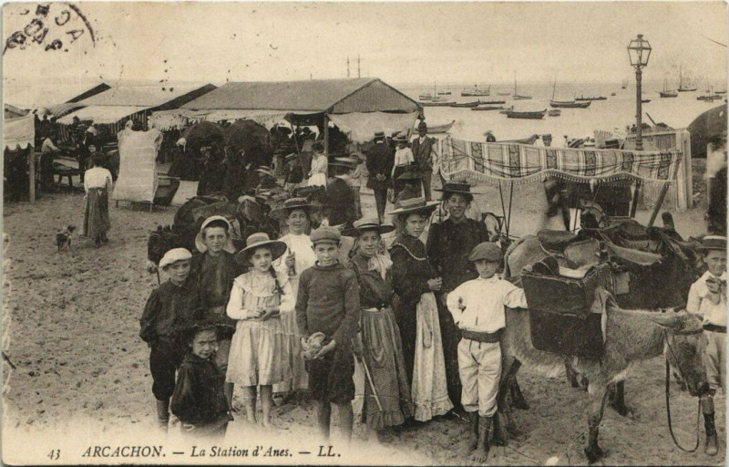 Carte postale ancienne Arcachon-La Station d'Anes à Arcachon
