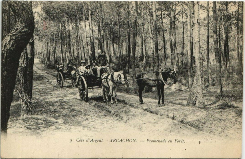Carte postale ancienne Arcachon-Promenade en Foret à Arcachon