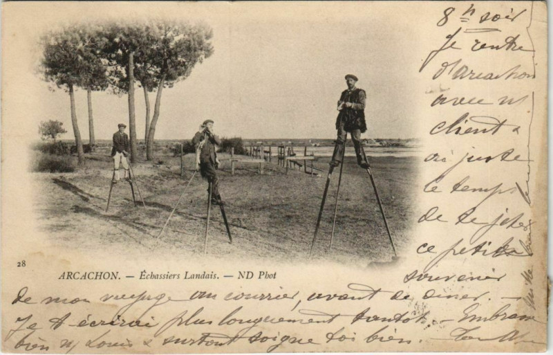 Carte postale ancienne Arcachon-Echassiers Landais à Arcachon