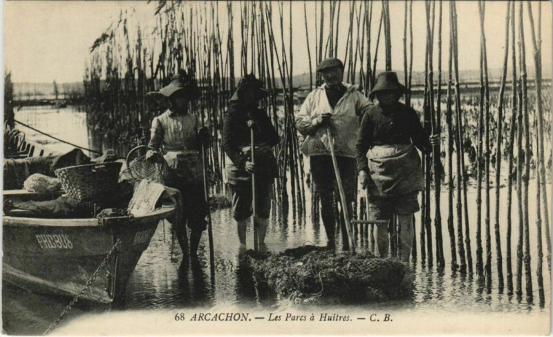 Carte postale ancienne Arcachon-Les Parcs a Huitres à Arcachon