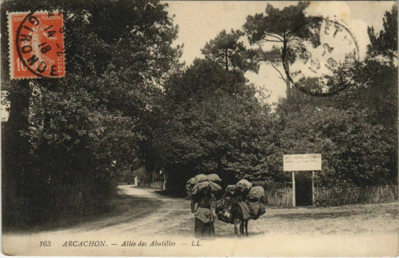 Carte postale ancienne Arcachon-Allée des Abatilles à Arcachon