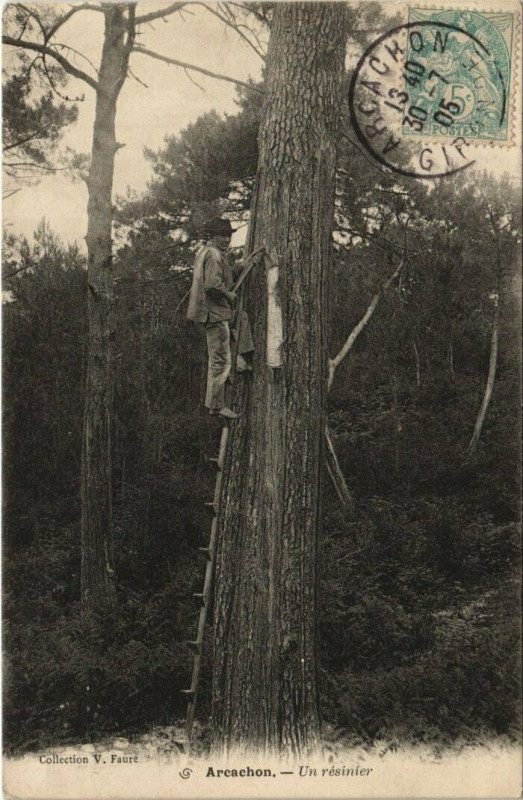 Carte postale ancienne Arcachon-Un résinier à Arcachon