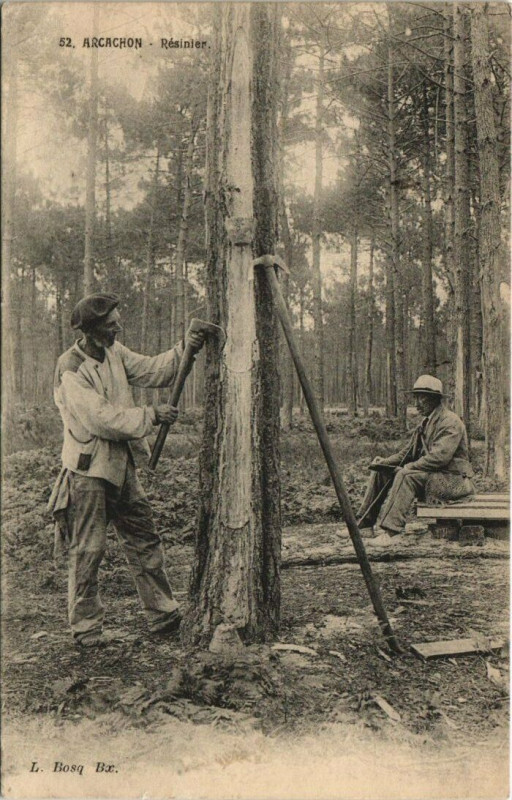 Carte postale ancienne Arcachon-Résinier à Arcachon