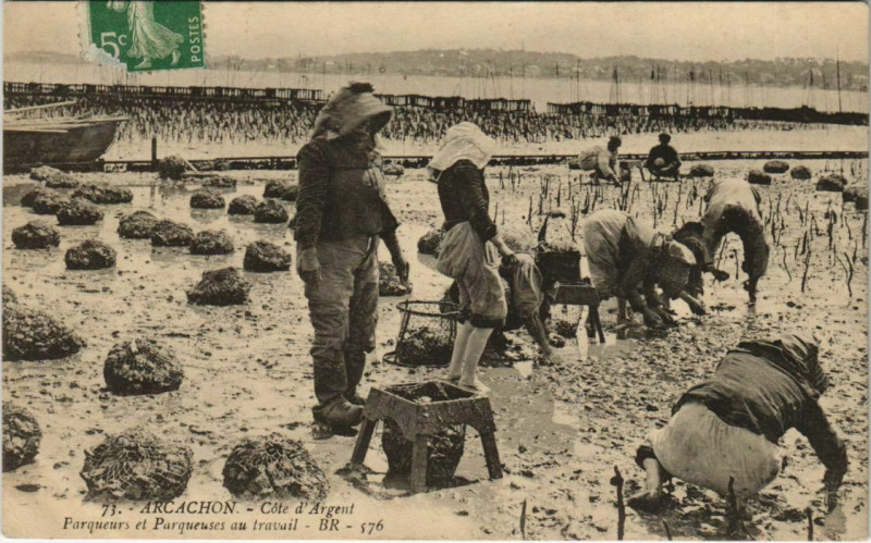 Carte postale ancienne Arcachon-Cote d'Argent-Parqueurs et Parqueuses au travail à Arcachon