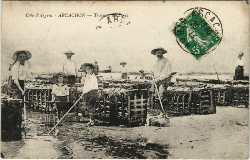 Carte postale ancienne Arcachon-Travaux de Parcs à Arcachon