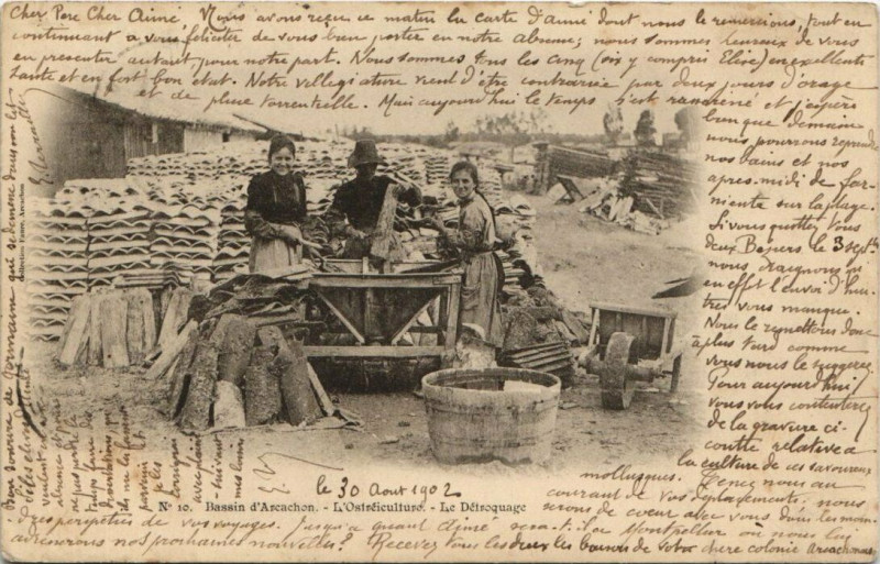 Carte postale ancienne Bassin d'Arcachon-L'Ostréiculture-Le Détroquage à Arcachon