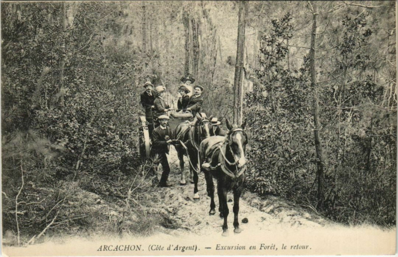 Carte postale ancienne Arcachon-Excursion en Foret le retour à Arcachon