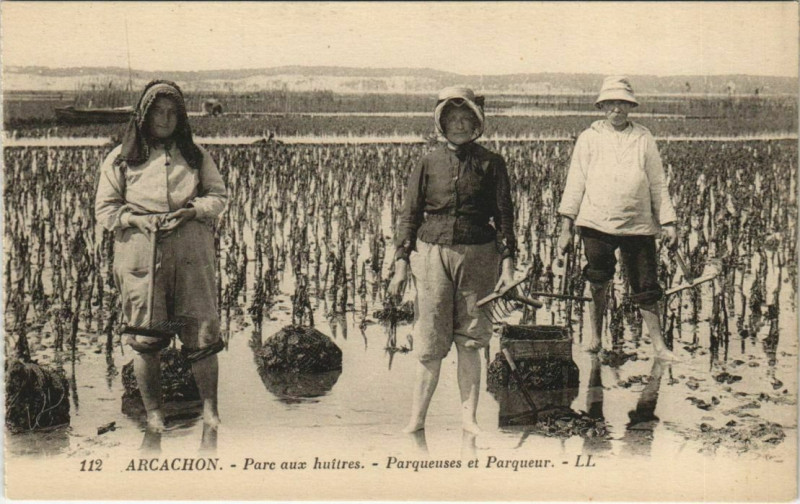 Carte postale ancienne Arcachon-Parc aux huitres-Parqueuses et Parqueur à Arcachon