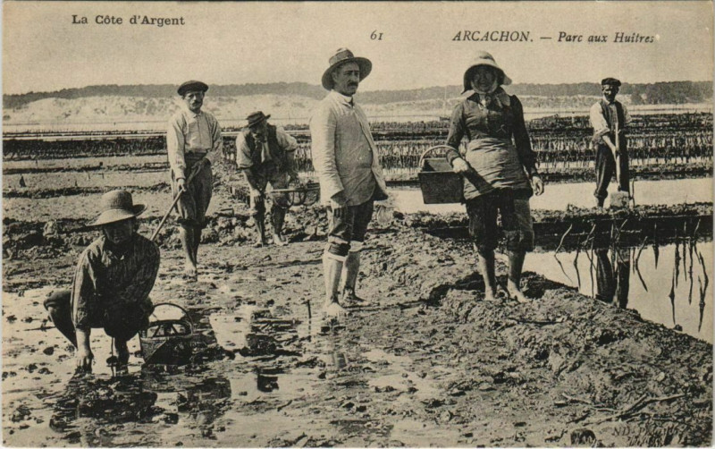 Carte postale ancienne Arcachon-Parc aux Huitres à Arcachon