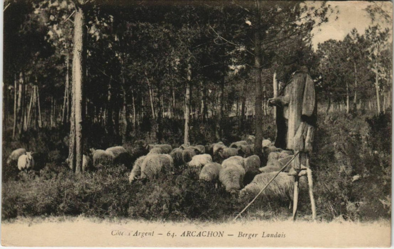 Carte postale ancienne Arcachon-Berger Landais à Arcachon