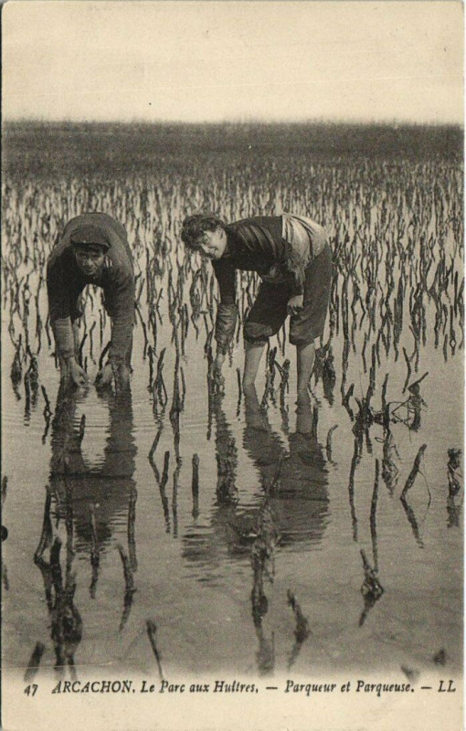 Carte postale ancienne Arcachon-Le Parc aux Huitres-Parqueur et Parqueuse à Arcachon