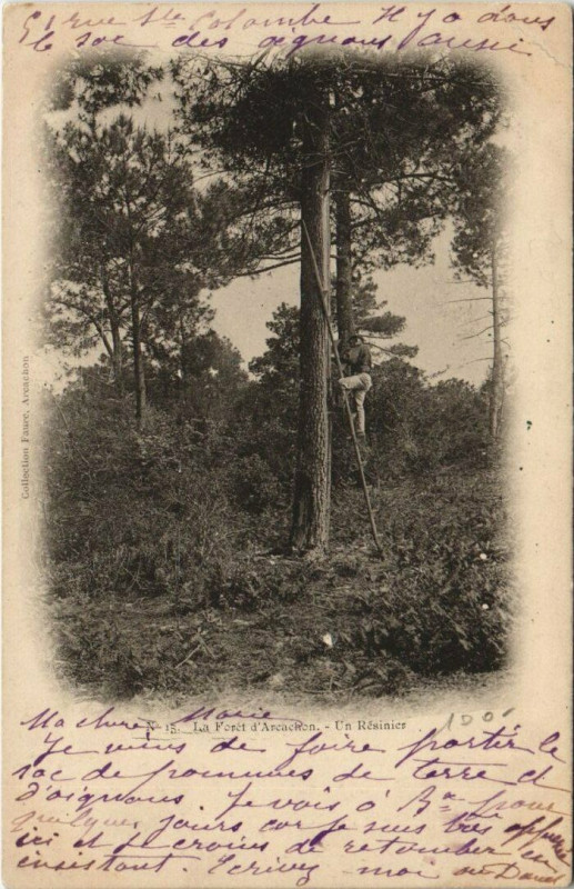 Carte postale ancienne La Foret d'Arcachon-un Résinier à Arcachon