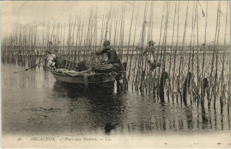 Carte postale ancienne Arcachon-Parc aux Huitres à Arcachon