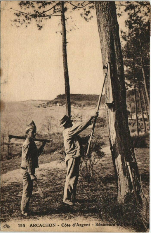 Carte postale ancienne Arcachon-Cote d'Argent-Résineurs à Arcachon