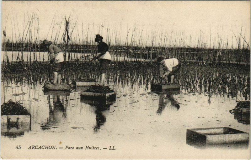 Carte postale ancienne Arcachon-Parc aux Huitres à Arcachon
