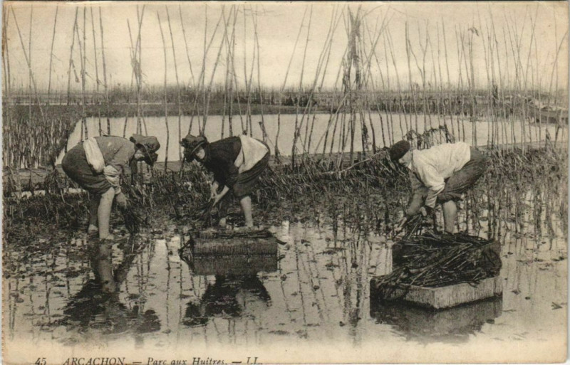 Carte postale ancienne Arcachon-Parc aux Huitres à Arcachon