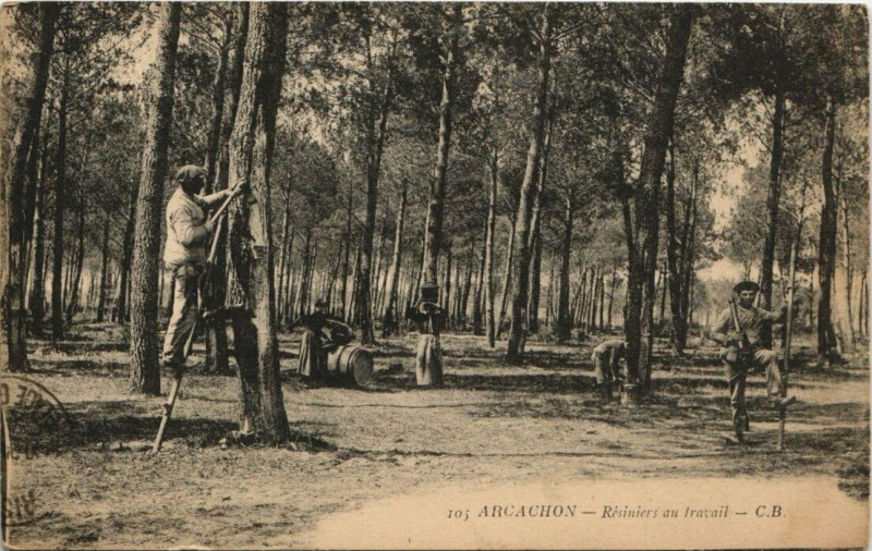 Carte postale ancienne Arcachon-Résiniers au travail à Arcachon