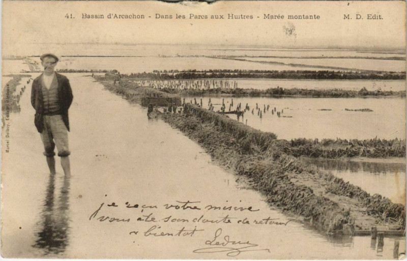 Carte postale ancienne Bassin d'Arcachon-Dans les Parcs aux Huitres-Marée montante à Arcachon