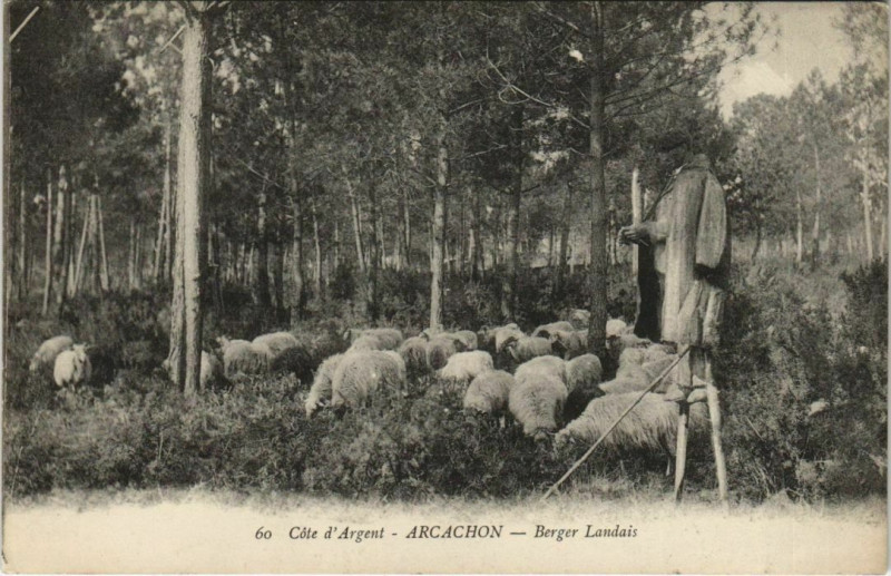 Carte postale ancienne Arcachon-Berger Landais à Arcachon