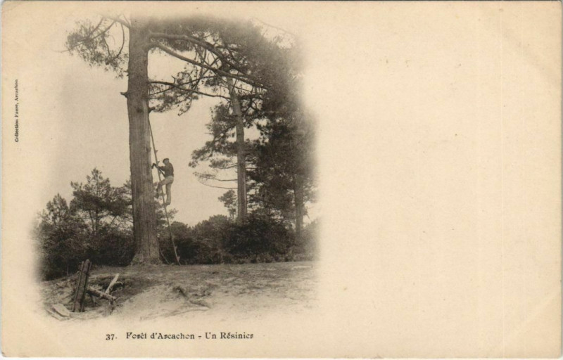 Carte postale ancienne Foret Arcachon - un Résinier à Arcachon