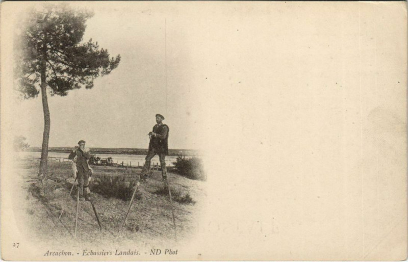 Carte postale ancienne Arcachon-Echassiers Landais à Arcachon