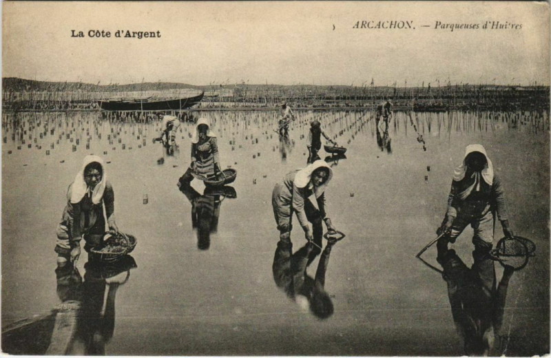 Carte postale ancienne Arcachon-Parqueuses d'Huitres à Arcachon