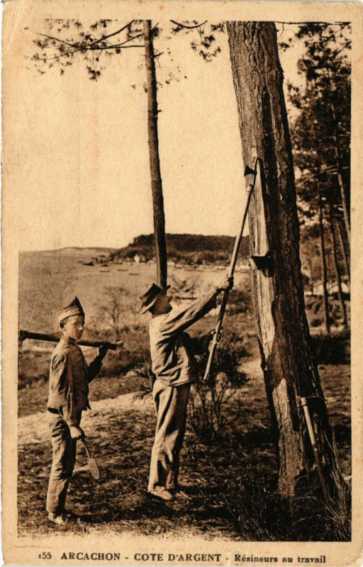 Carte postale ancienne Arcachon Résineurs au travail à Arcachon