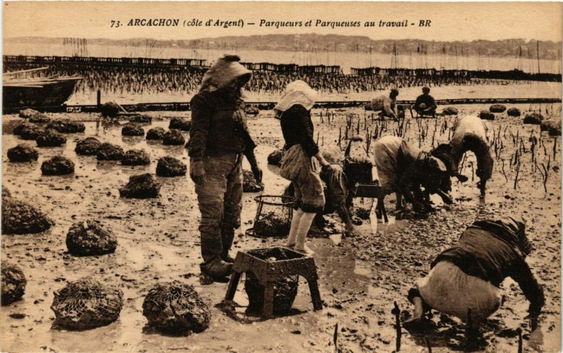 Carte postale ancienne Arcachon Parqueurs et Parqueuses au travail à Arcachon