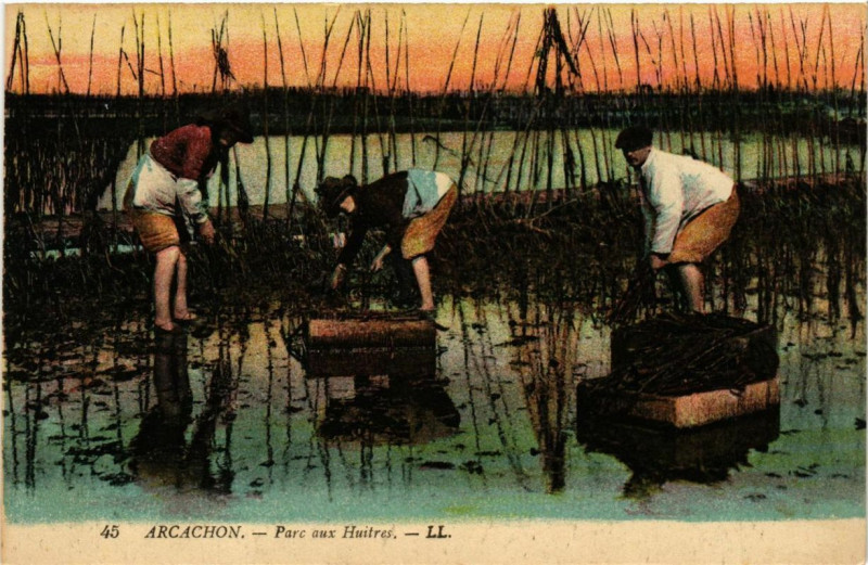 Carte postale ancienne Arcachon Parc aux Huitres à Arcachon