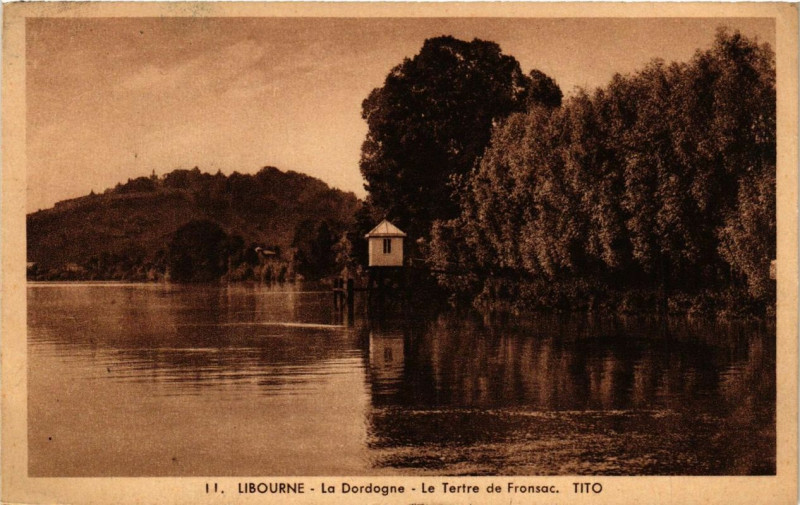 Carte postale ancienne Libourne La Dordogne-Le Tertre de Fronsac à Libourne