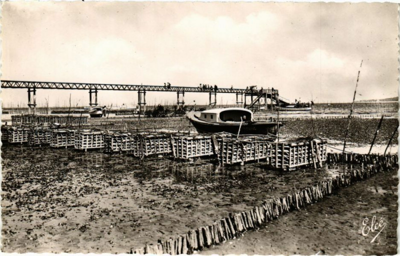 Carte postale ancienne Cap-Ferret (Gironde) - travaux Ostréicoles.Les collecteurs d'Alevin