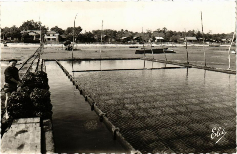 Carte postale ancienne Bassin d'Arcachon (Gironde) - Réservé a Huitres à Arcachon