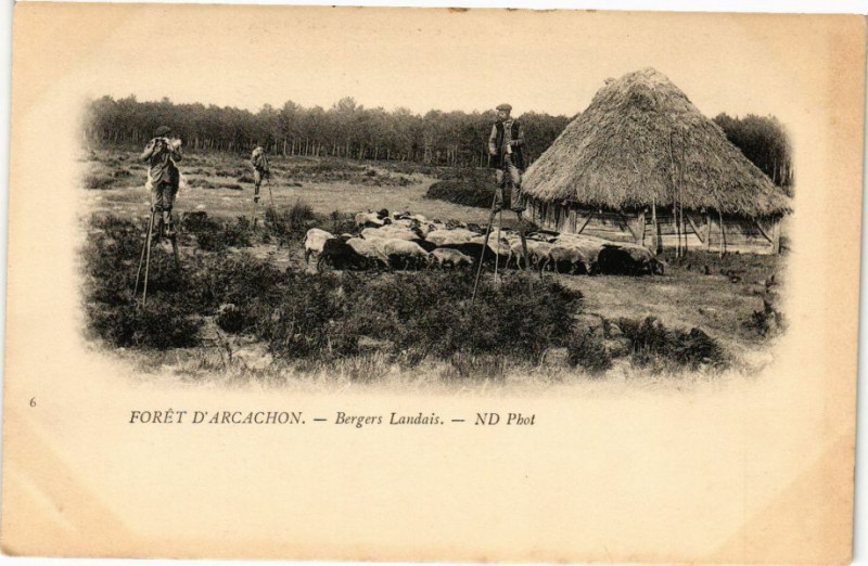 Carte postale ancienne Foret d'Arcachon - Bergers Landais à Arcachon