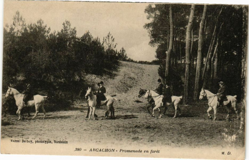 Carte postale ancienne Arcachon-Promenade en Foret à Arcachon