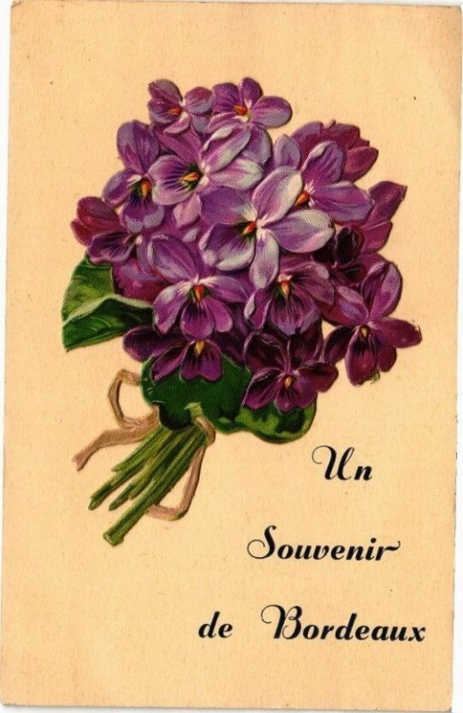 Carte postale ancienne Un Souvenir de Bordeaux à Bordeaux