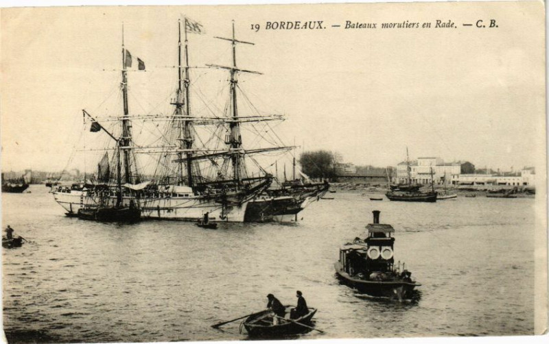 Carte postale ancienne Bordeaux-Bateaux morutiers en Rade à Bordeaux