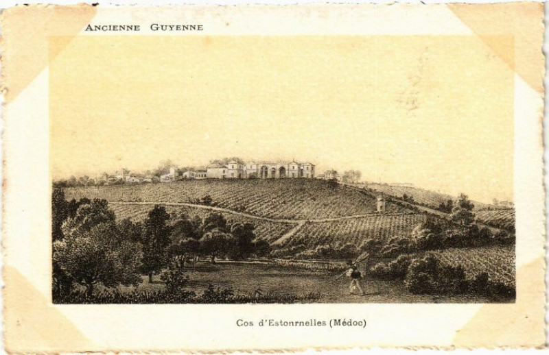 Carte postale ancienne Cos d'Estonrnelles (Médoc)