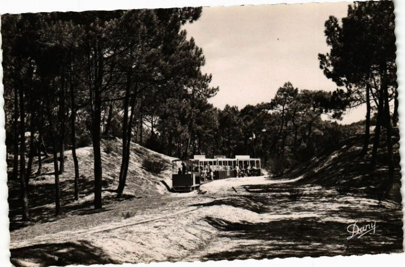 Carte postale ancienne Cap Ferret-Le Petit Train en Foret