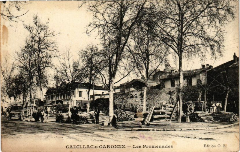 Carte postale ancienne Cadillac-s-Garonne-Les Promenades à Cadillac