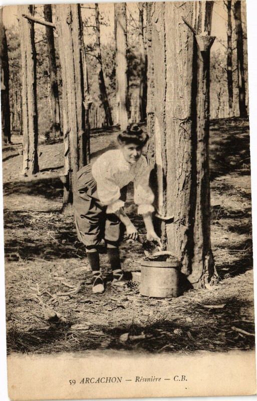 Carte postale ancienne Arcachon - Resimiere à Arcachon