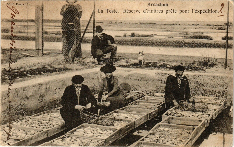 Carte postale ancienne Arcachon - La Teste reserve à Arcachon