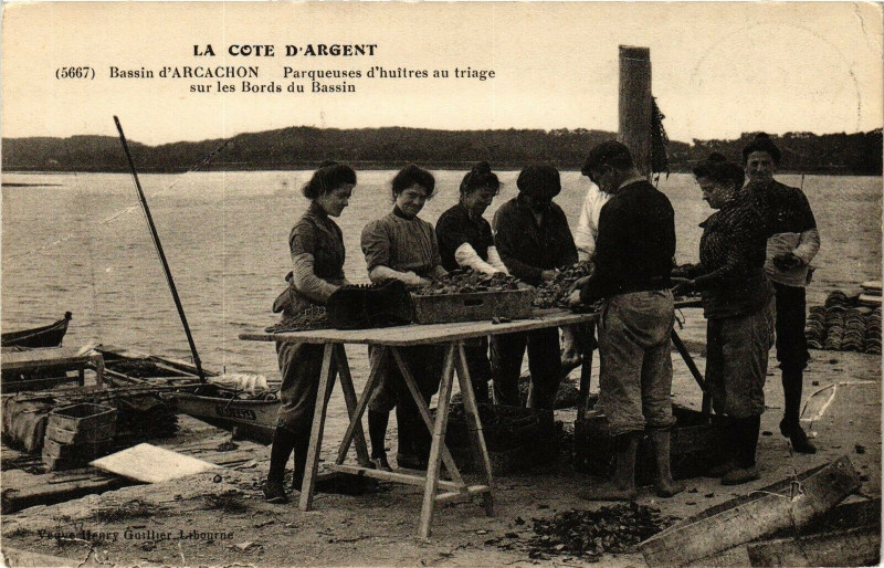 Carte postale ancienne Bassin d' Arcachon - Parqueuses d'huitres à Arcachon