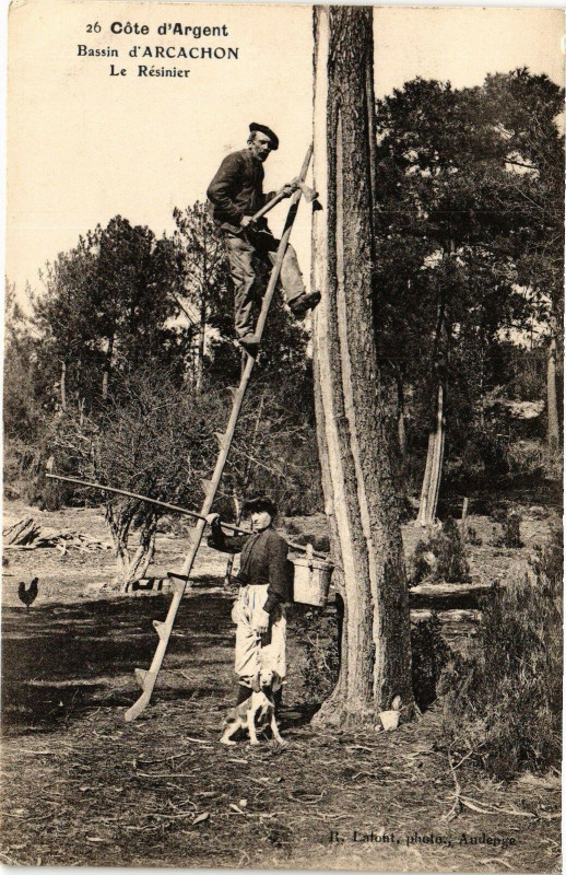 Carte postale ancienne Arcachon - Le resiner à Arcachon