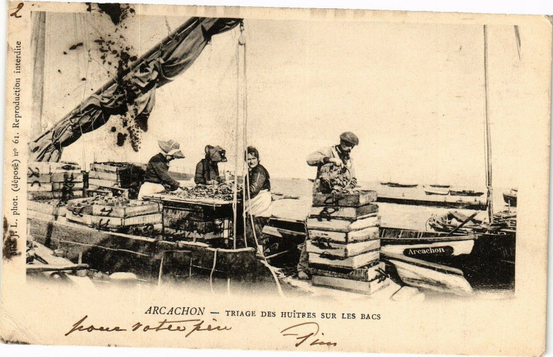 Carte postale ancienne Arcachon - Triage Des HuITRES SuR à Arcachon