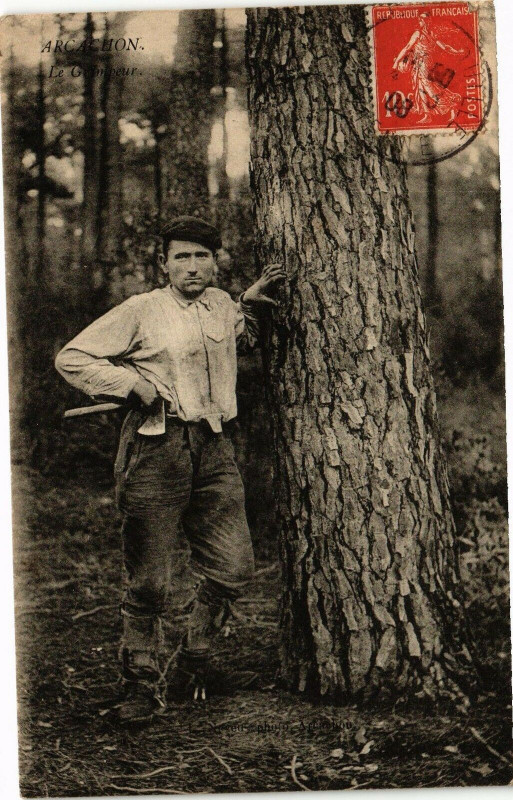 Carte postale ancienne Arcachon - La grimpeur à Arcachon