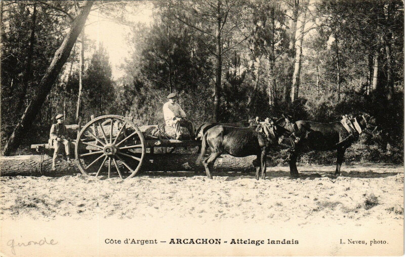 Carte postale ancienne Arcachon - Atteleage landais à Arcachon