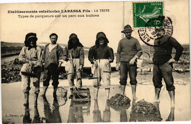 Carte postale ancienne Etablissements Ostericoles Labassa - La Teste
