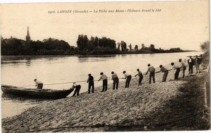 Carte postale ancienne Langon - La peche aux aloses à Langon